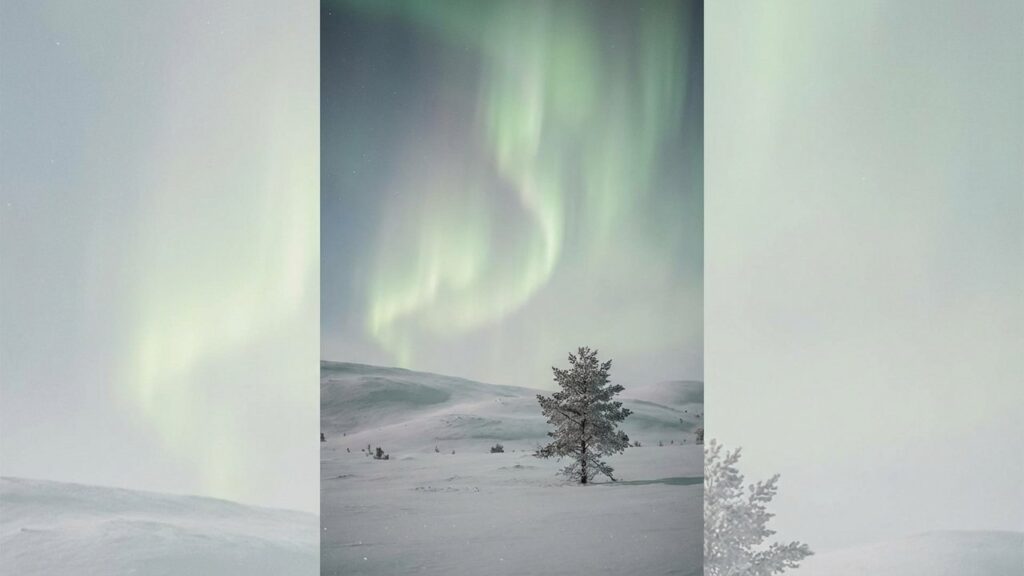 Aurores boréales illuminant le ciel nocturne au-dessus d'un paysage enneigé en Laponie