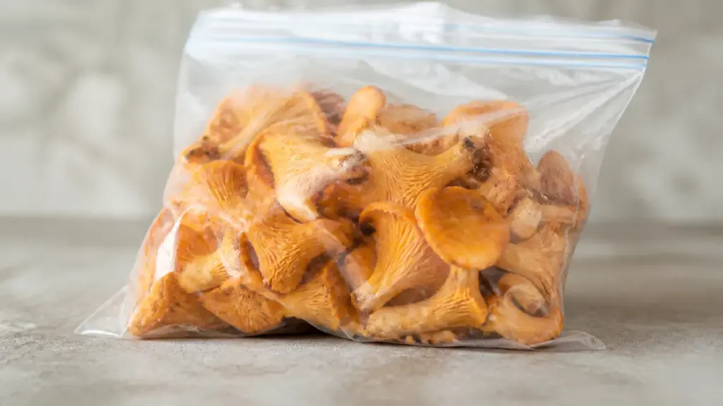 Girolles fraîches prêtes à congeler